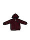 Joyce Boys Hooded Sweatshirt with Zipper Burgundy