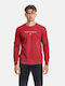 Paco & Co Men's Sweatshirt Burgundy