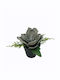 Christmas Decorative Flower 13cm