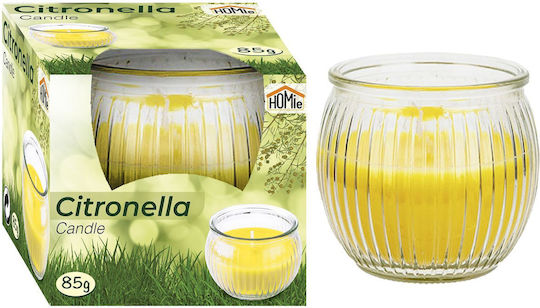 HOMie Aromatisch in Gefäß Zitronengras HOMie Aromatisch in Gefäß Zitronengras