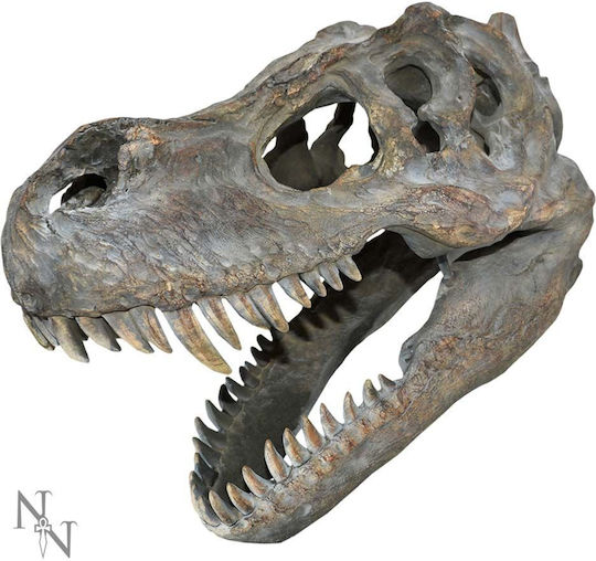 Nemesis Now Διακοσμητικό Ζωάκι Πολυρητίνης 39.5cm