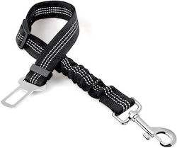 Seatbelt Seatbelt
