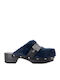Pescura Mules with Low Heel in Blue Color