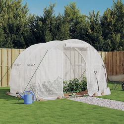 vidaXL 364079 Greenhouse Tunnel 3x2x2m