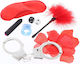 Scala The Naughty Birthday BDSM Kit σε Ροζ Χρώμα