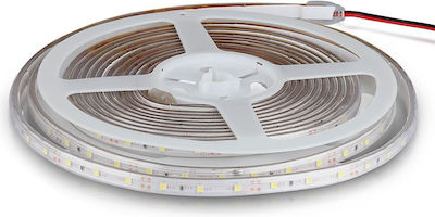 V-TAC Rezistentă la apă Bandă LED Alimentare 12V cu Lumină Verde Lungime 5m și 60 LED-uri pe Metru SMD3528