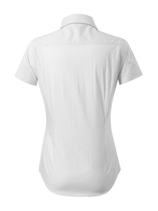 Malfini Women's Short Sleeve Shirt White