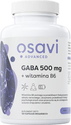 Osavi Gaba + Vitamin B6 500mg 120 Κάψουλες