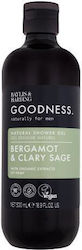 Baylis & Harding Goodness Bubble Bath in Gel for Men and Citrus Scent 500ml