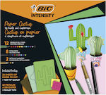 Bic Desk Set 44pcs