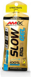 Amix Slow Gel 45gr