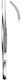 Hilbro Medical & Surgical Curved Forcep 17.5cm