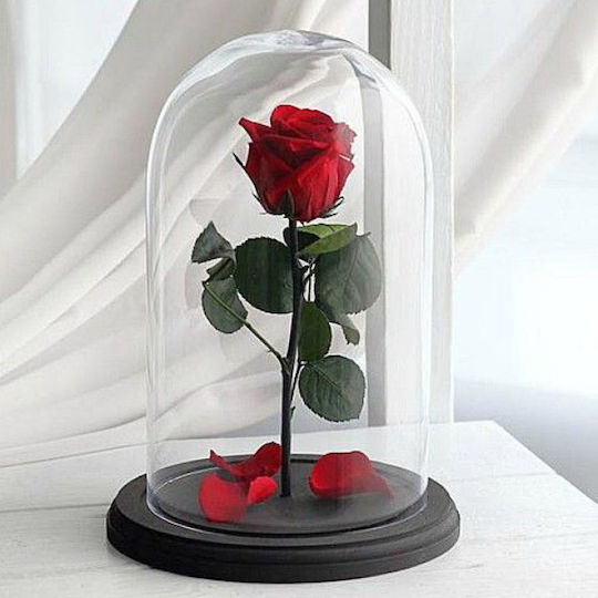 Παντοτινό Τριαντάφυλλο Κόκκινο 20cm σε Γυάλα