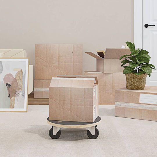 vidaXL Mobile Basis for Load Weight up to 250kg in Gray Color