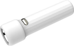 Platinet PAF8931 Φακός LED 60lm Platinet PAF8931 Φακός LED 60lm
