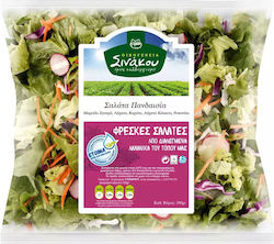 Oikogeneia Sinakou Salad Pandaisia 300gr