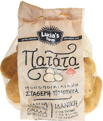 Картофи Myrto Опаковани Гръцки Качество А Мрежа (1 мрежа / 3kg) Картофи Myrto Опаковани Гръцки Качество А Мрежа (1 мрежа / 3kg)