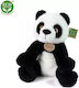 Rappa Plush Bear 27 cm