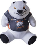 WP Merchandise Plush Bear