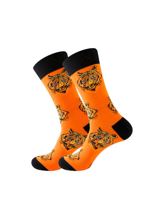 Intimonna Socks Orange