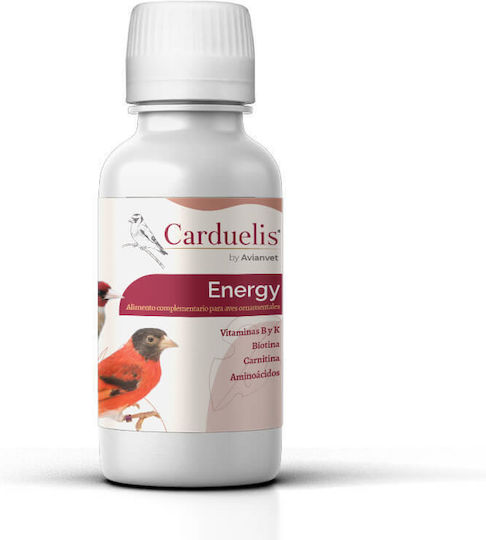 Avianvet Vitamin Für Singvögel 100ml 100g