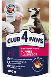 Club 4 Paws Υγρή Τροφή 100gr Club 4 Paws Υγρή Τροφή 100gr