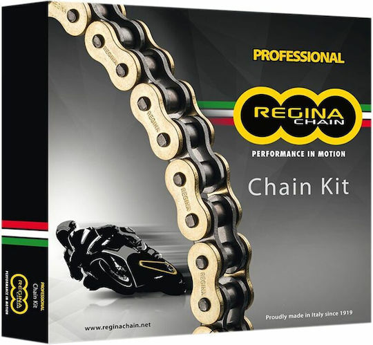 Regina Kette & Ritzel-Kit für Ducati Monster