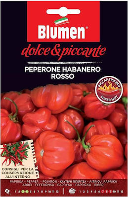 Blumen Habanero Rosso καυτερή Σπόροι Πιπεριάς 15τμχ