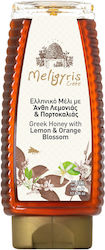 Greek Honey with Lemon and Orange Blossoms Meligyris (500g)
