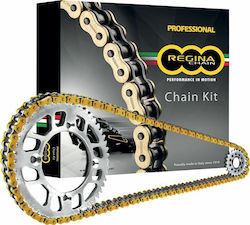 Regina Chain & Sprocket Kit for Triumph Tiger 1050