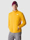 100 Glacier Men's Fleece Cardigan Yellow