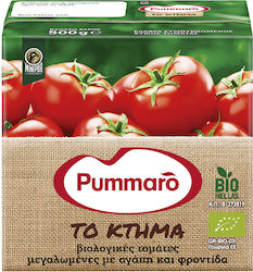 Organic Lightly Concentrated Tomato Juice Bio Ktima Pummaro (500 g)