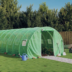 vidaXL 3188042 Greenhouse 10x3x2m