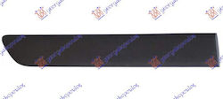 Prasco Door molding Car for Renault Kangoo