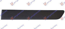 Prasco Door molding Car for Renault Kangoo