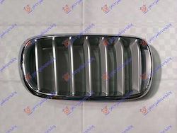 Prasco Dekorative Auto Maske BMW X6 (F16)