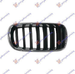 Prasco Car Front Mask Decoration