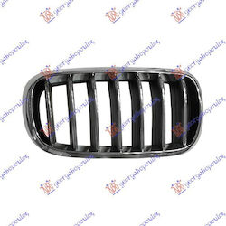 Prasco Dekorative Auto Maske BMW X5 (F15)