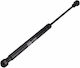 Magneti Marelli Trunk Shock for Audi A1