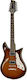 Duesenberg Elektrische Gitarre Bersten
