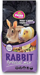 Farma Friends Τροφή για Τρωκτικό 20kg