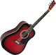 Infinity Acoustic Guitar 801