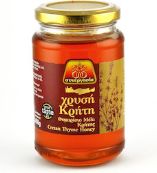Μέλι Θυμαρίσιο Χρυσή Κρήτη (450 g) Μέλι Θυμαρίσιο Χρυσή Κρήτη (450 g)