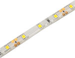 Avide ABLS12V2835-60CW65-4.8W-1 Αδιάβροχη Ταινία LED Τροφοδοσίας 12V με Ψυχρό Λευκό Φως Μήκους 10m