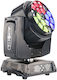 PLS Pegasus Wash LED RGBW