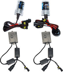 Xenon Σετ Φωτισμού Αυτοκινήτου H11 55W 12V
