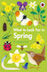 What to Look for in Spring