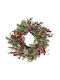 Iliadis Christmas Decorative Wreath