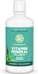 Sunwarrior Vitamin Mineral Rush 887ml