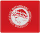 Koupakoupa Ολυμπιακός Mouse Pad (230mm) Γκρι KP...